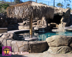 Mexican Raincape Palapa Kits